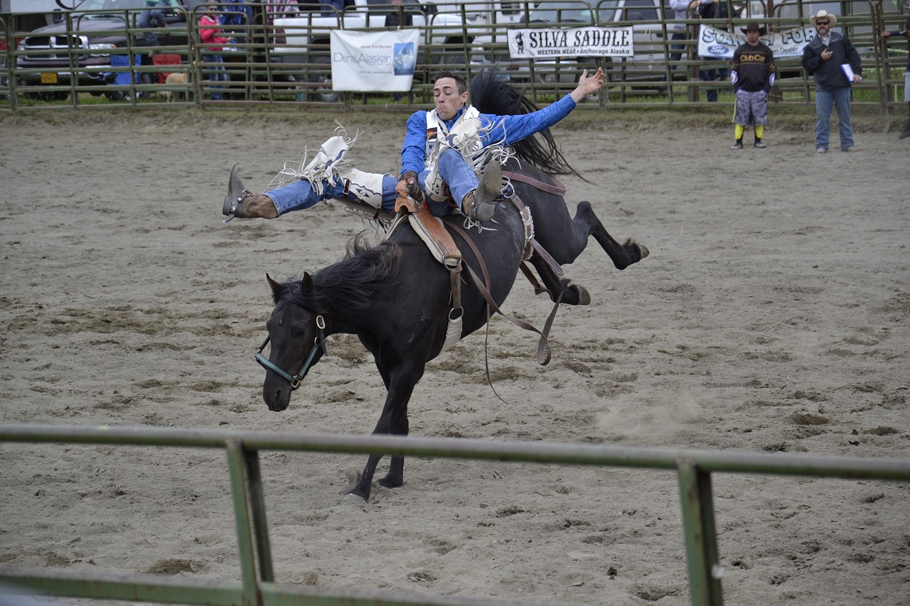 rodeo horse alaska free photo