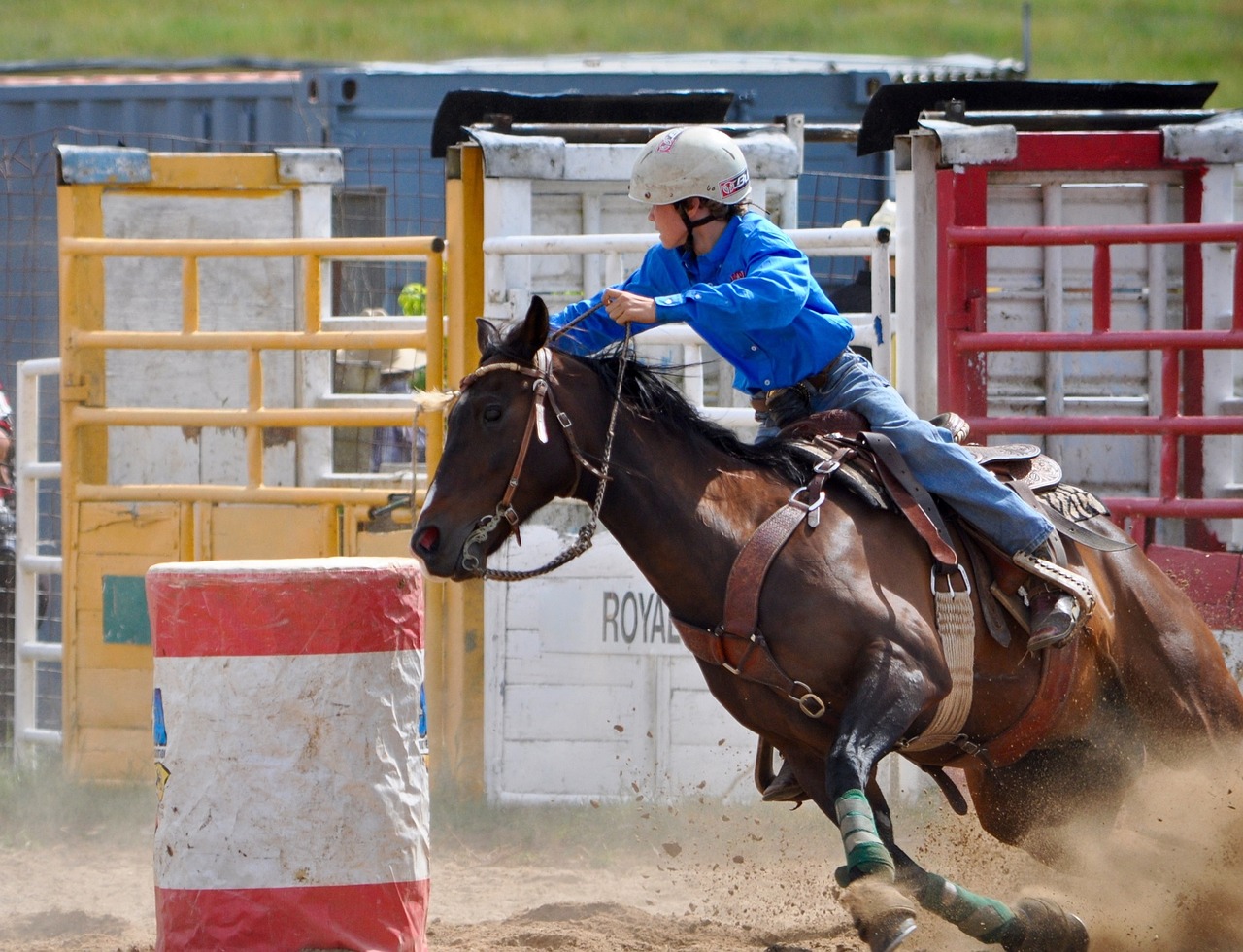 rodeo barrel racing woman free photo