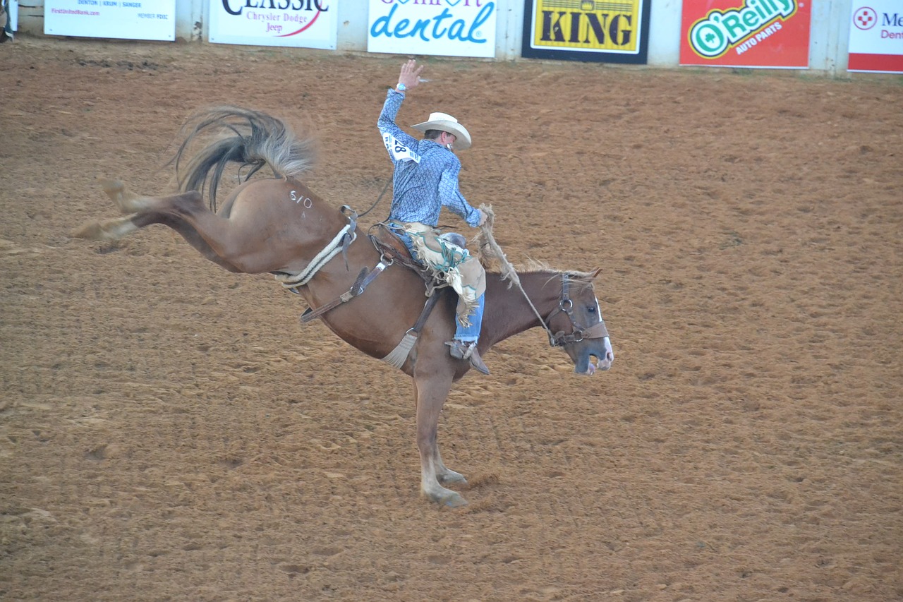 rodeo cowboy horse free photo