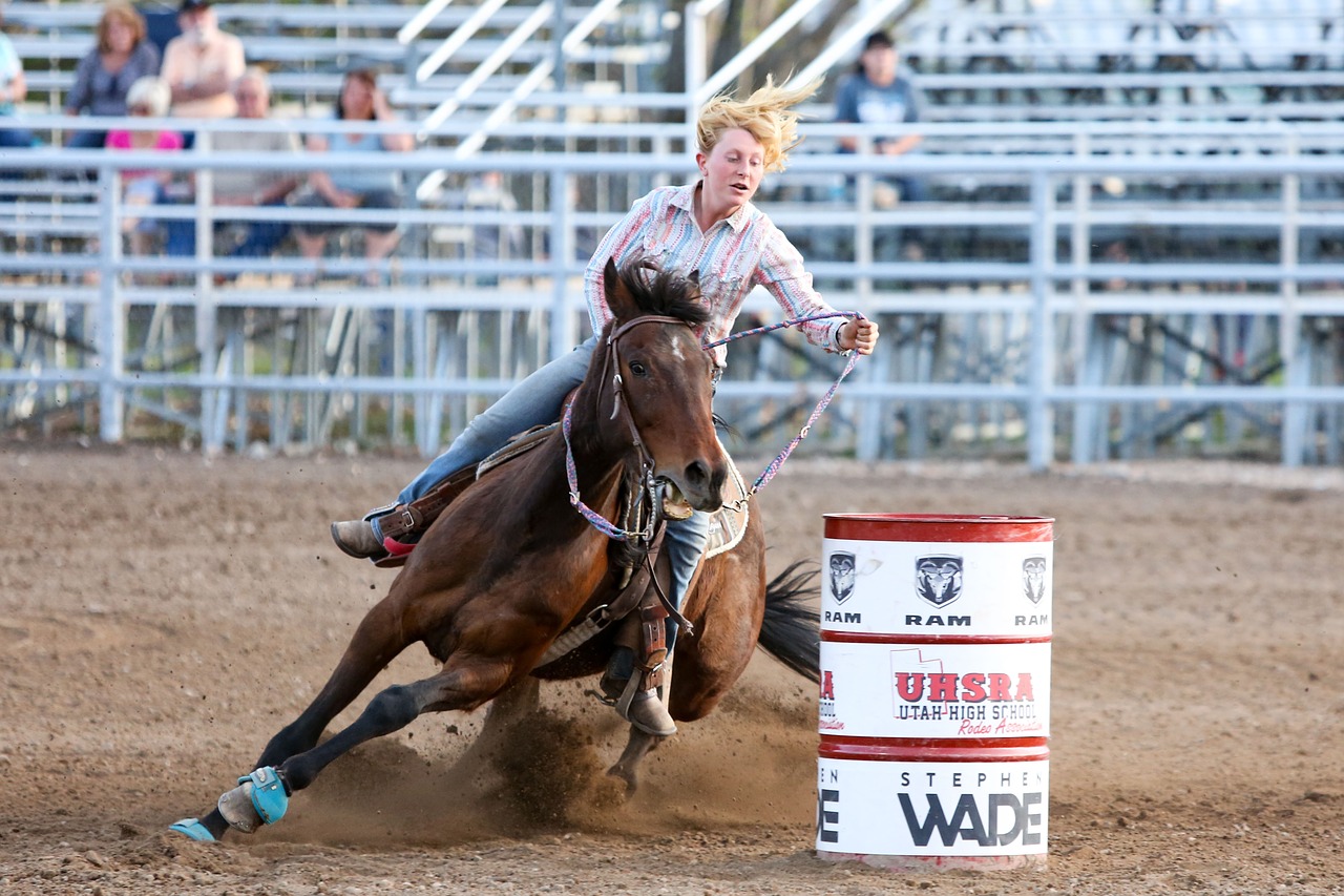 rodeo  horse  barrel free photo