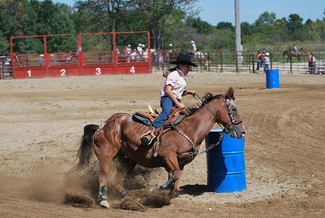 rodeo  barrel racing  cowgirl free photo