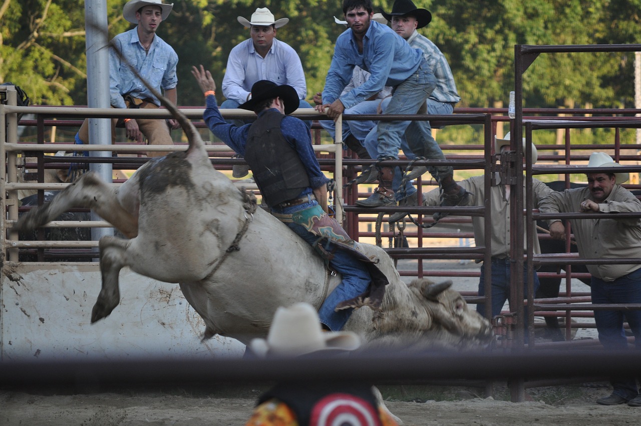 rodeo ranch bucking free photo