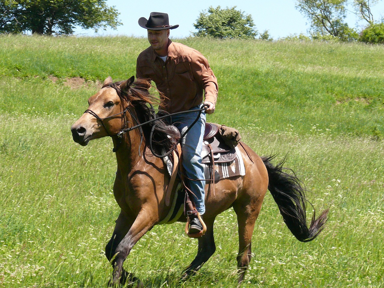 rodeo cowboy rider free photo