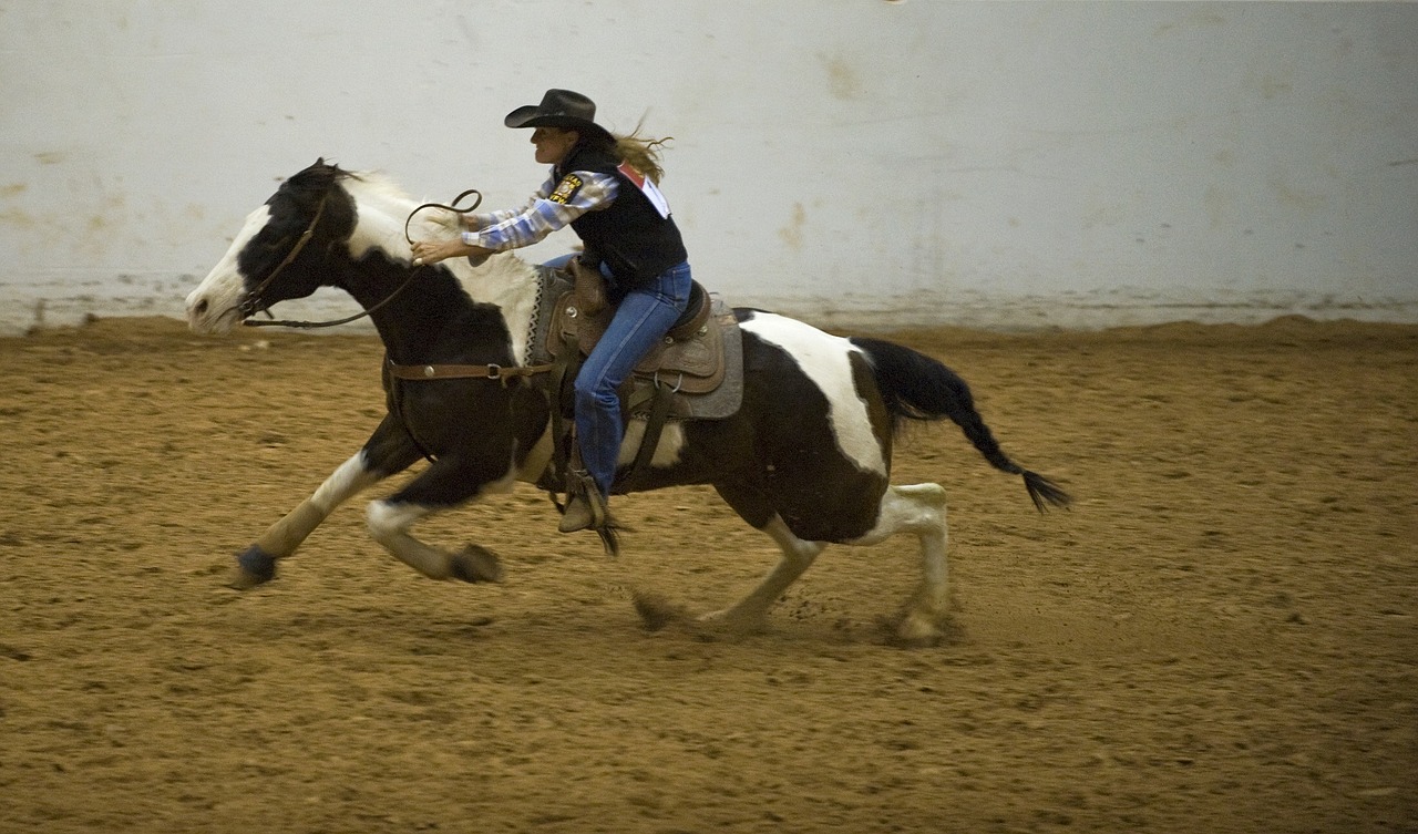 rodeo barrel racing woman free photo
