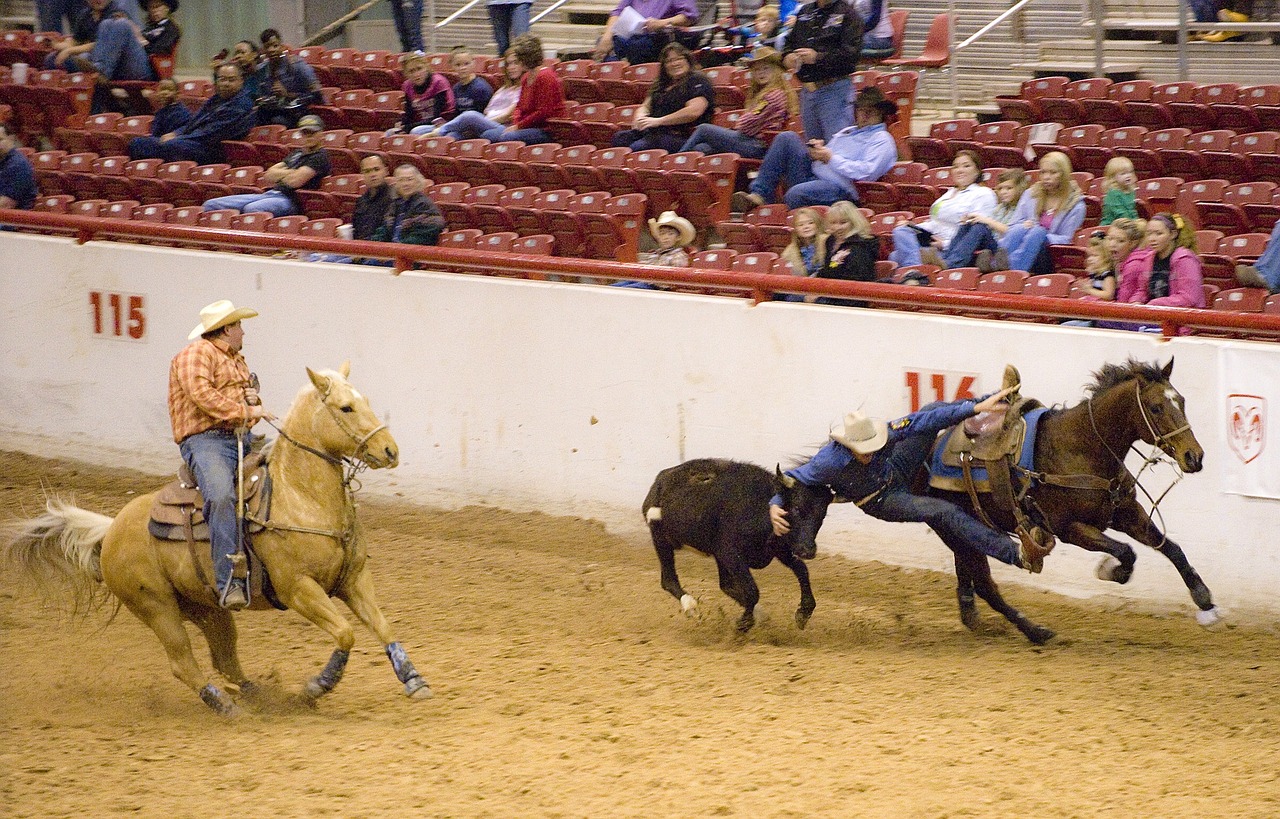 Download free photo of Rodeo,steer,wrestling,cattle,cowboy - from ...