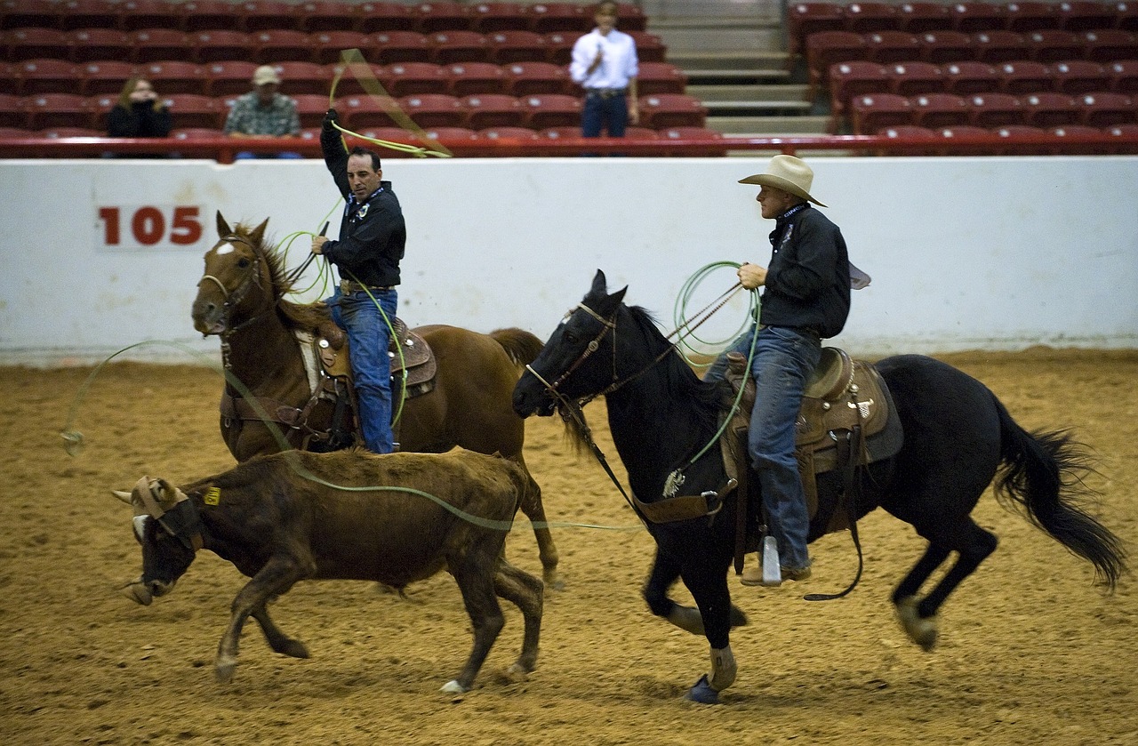 rodeo calf roping free photo