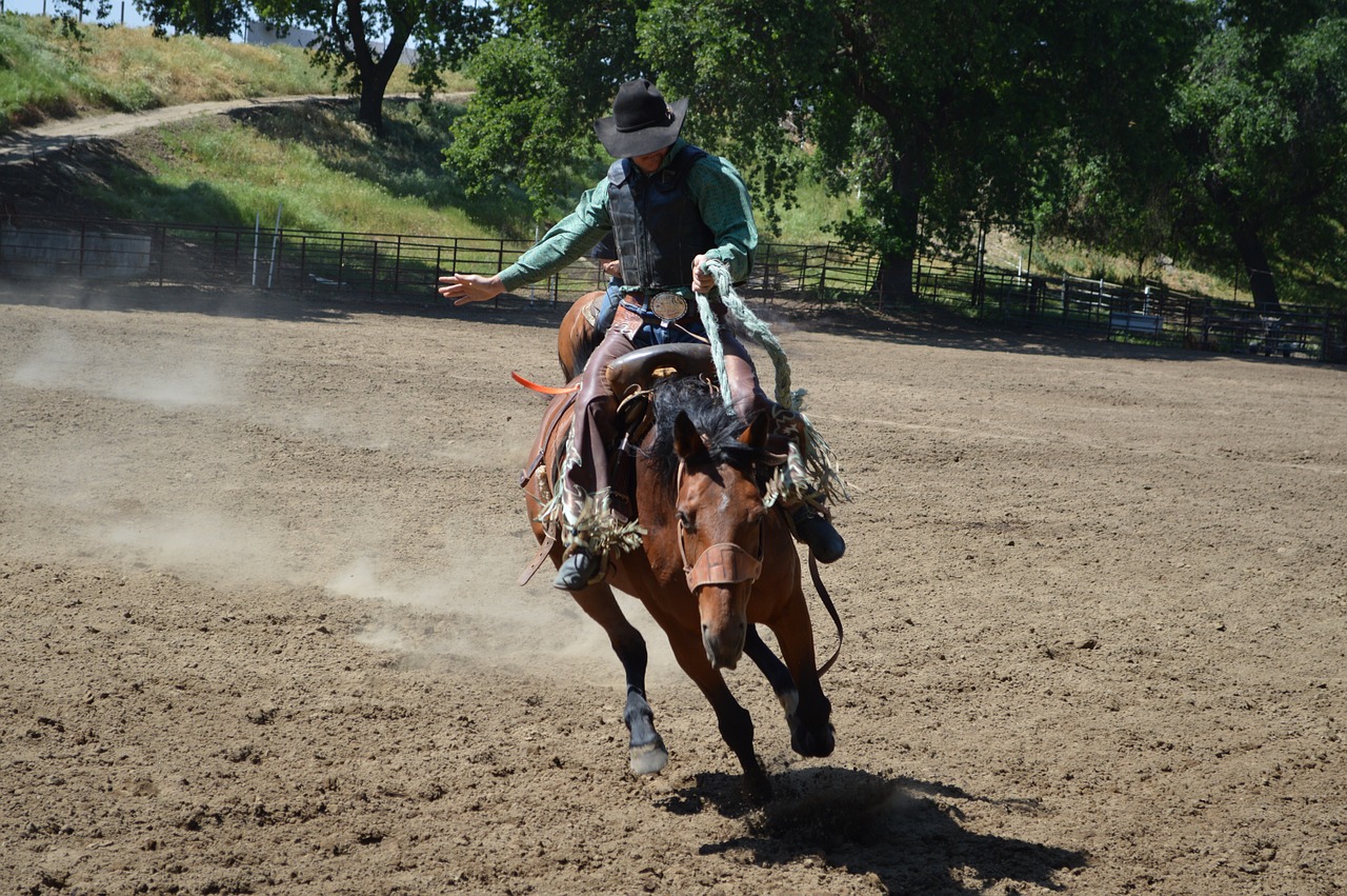 rodeo riding cowboy free photo