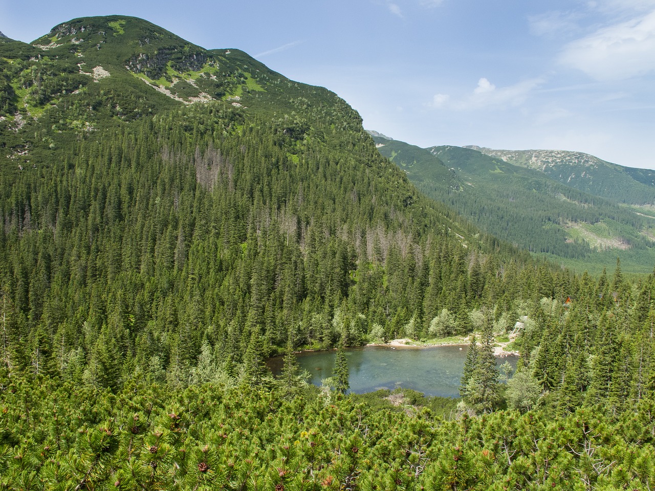 roháče country pleso free photo