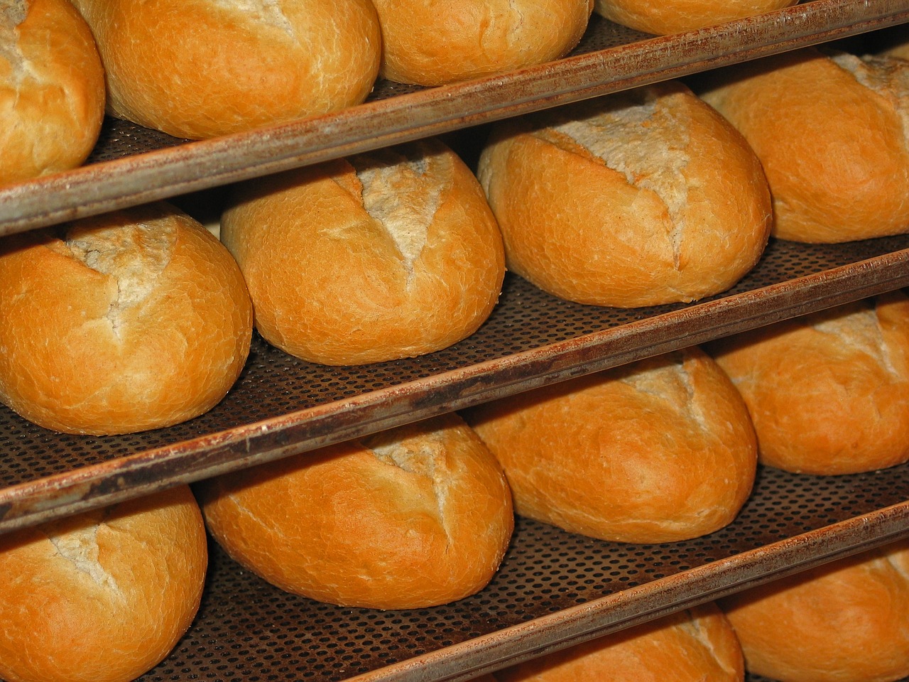 roll fresh bread rolls baker free photo