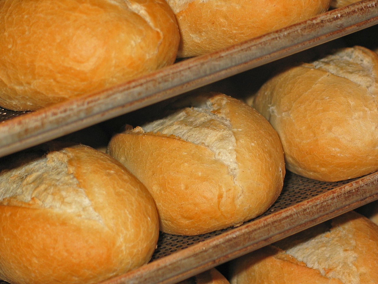 roll fresh bread rolls baker free photo