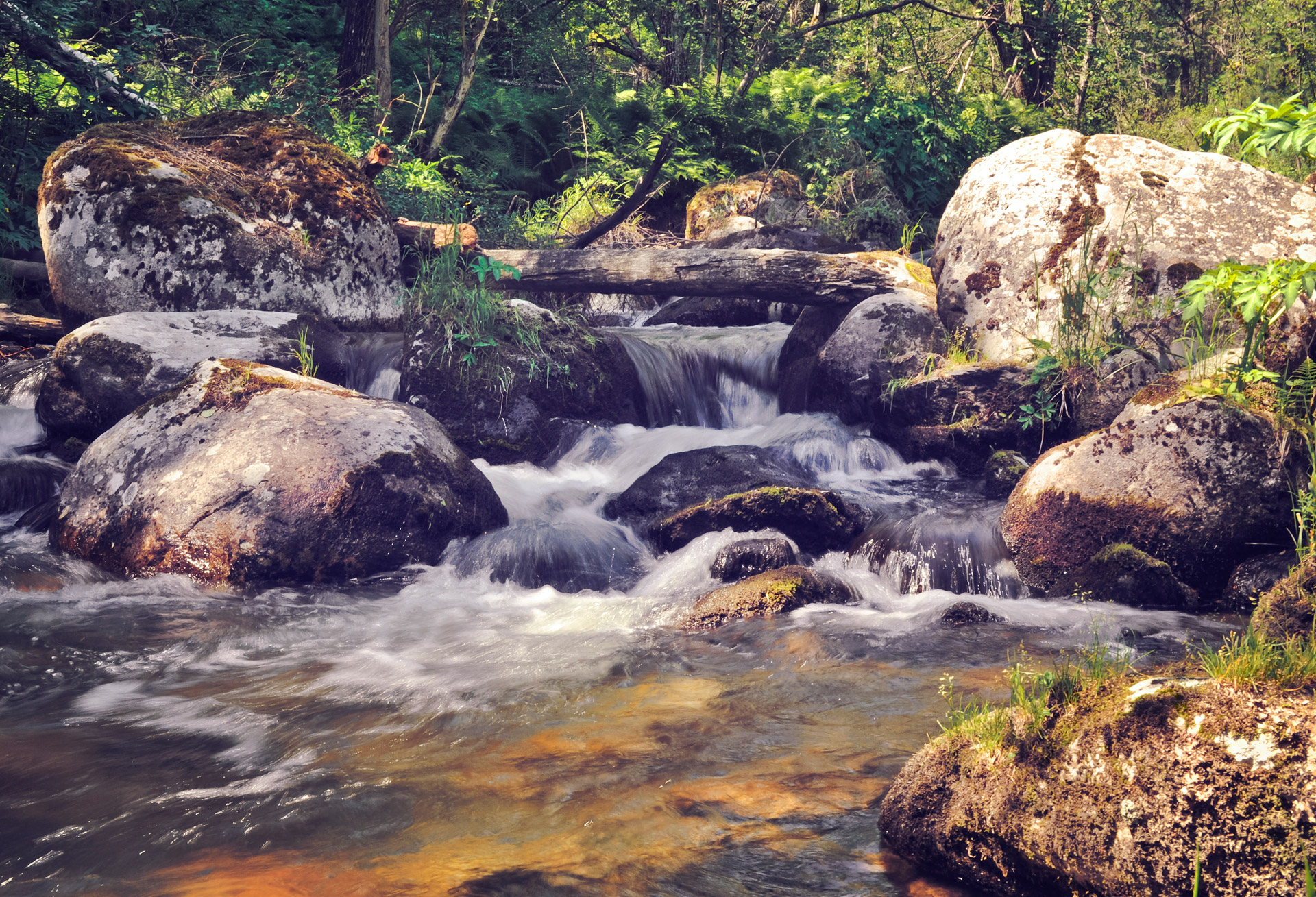 flow waterfall rocks free photo