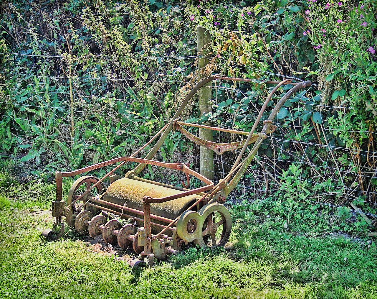 roller garden grass free photo