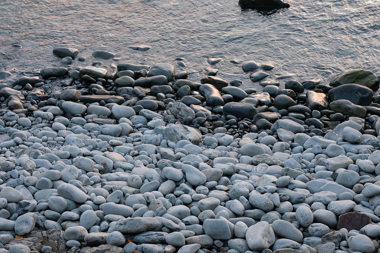 roller  beach  sea free photo