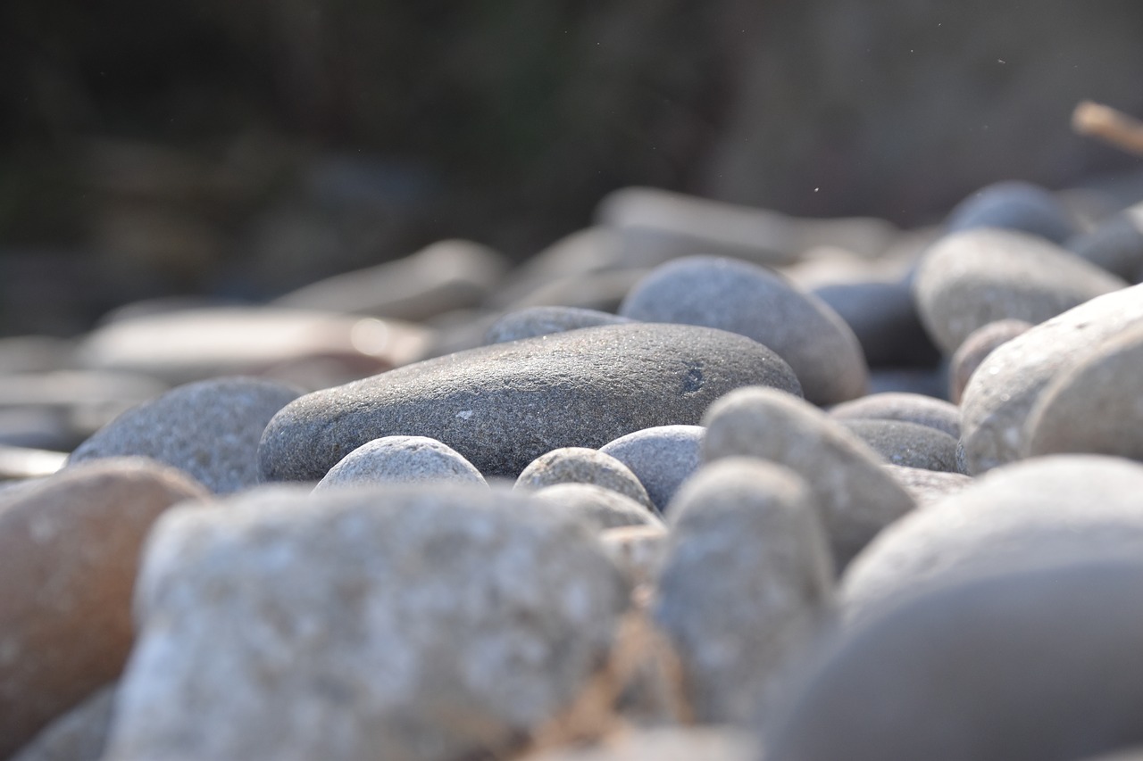 roller  beach  corsican free photo