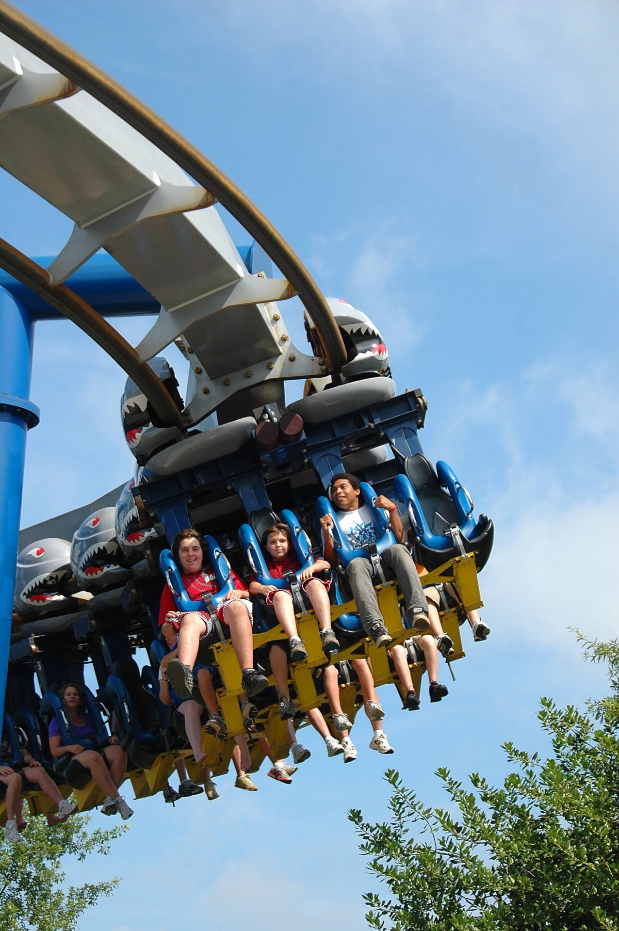 roller coaster ride people free photo