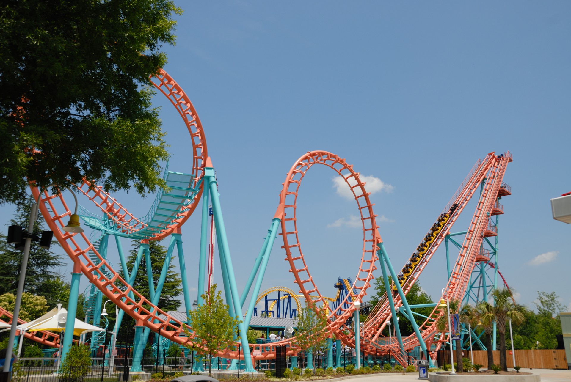 roller coaster amusement park tall free photo