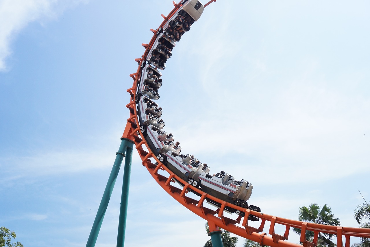 roller coaster enjoy pretty fun free photo