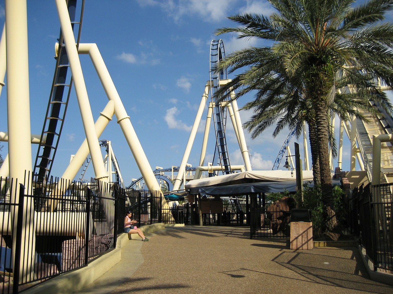 roller coaster amusement park florida free photo