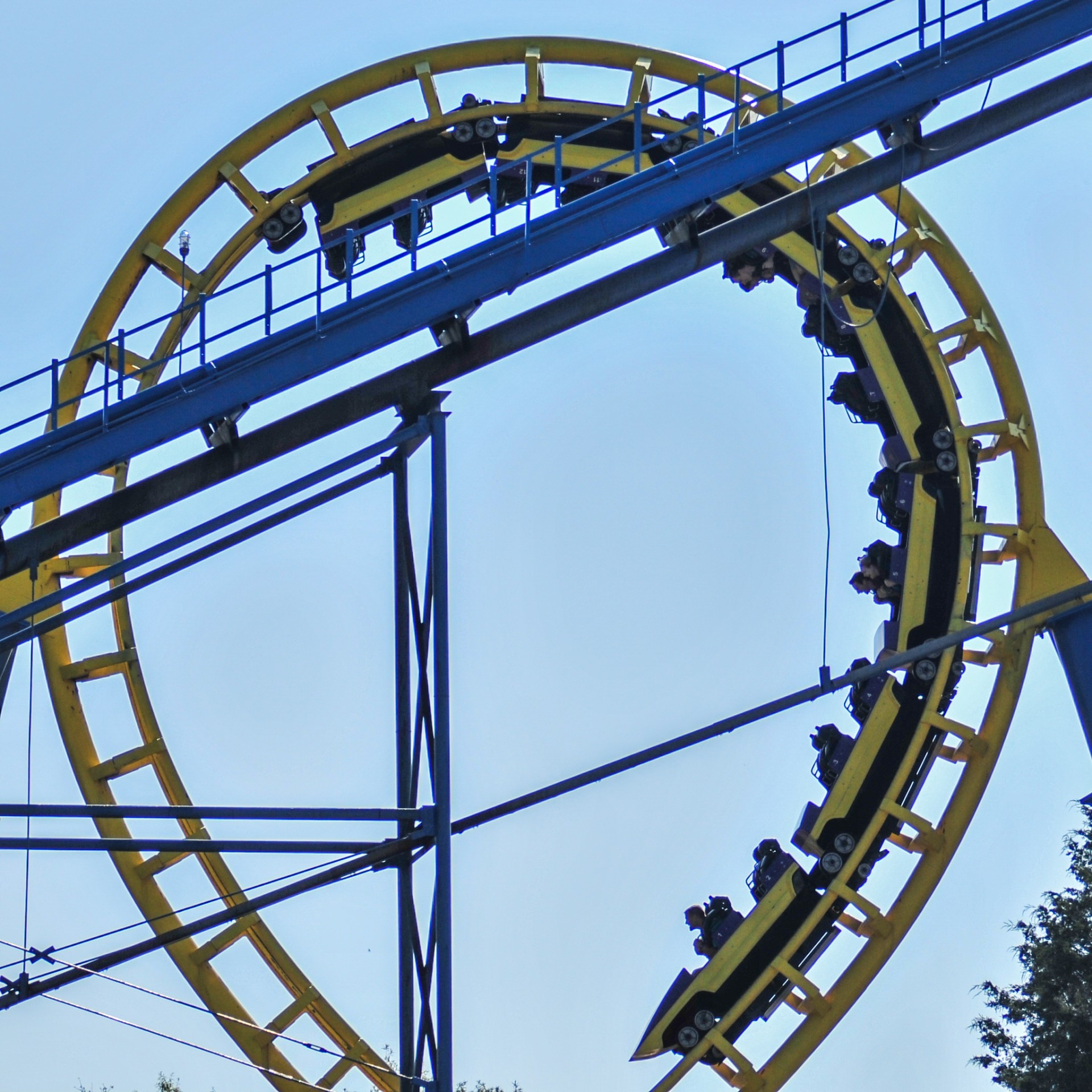 roller coaster blue free photo