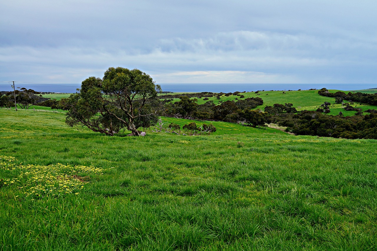 rolling meadows green fields wide open spaces free photo