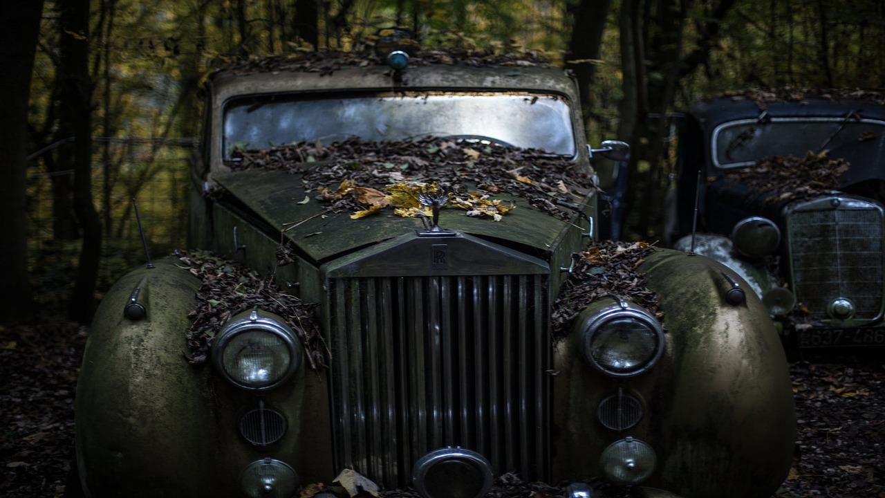 rolls royce old car abandoned leaves free photo