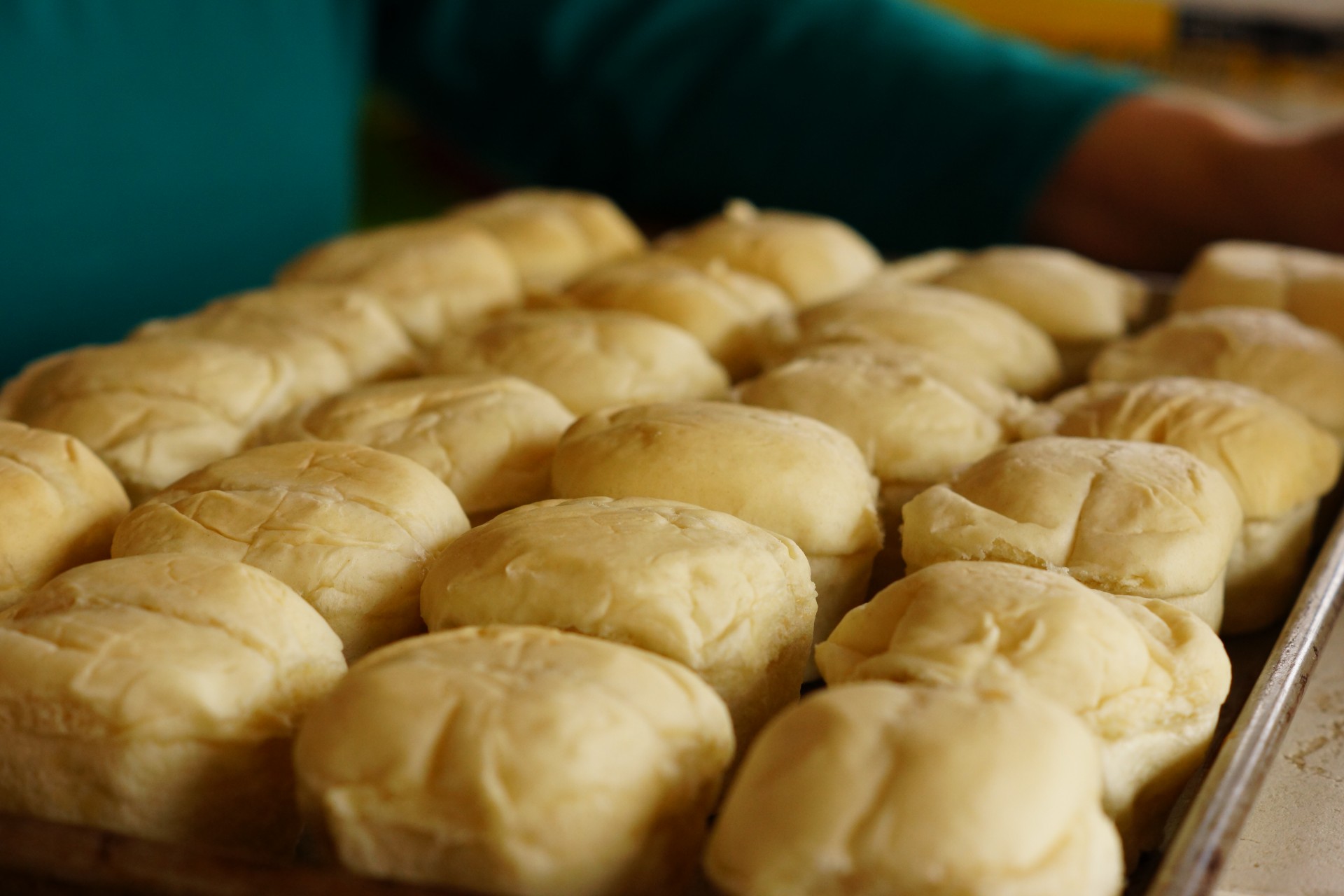 rolls buns food free photo