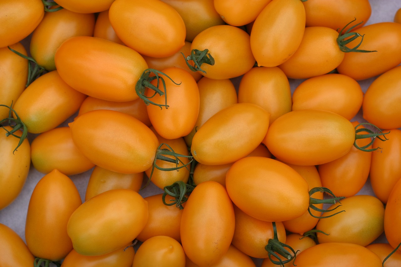 roma tomatoes tomatoes salad free photo