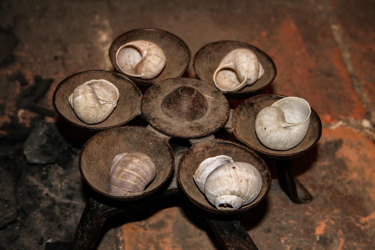 roman snail pot free photo