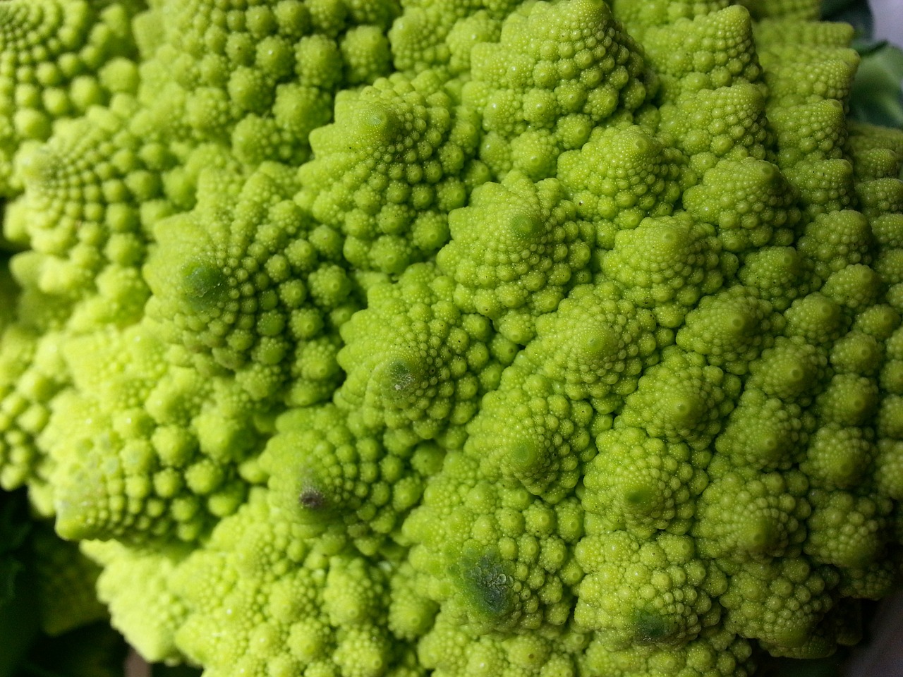 romanesco broccoli cauliflower vegetables free photo