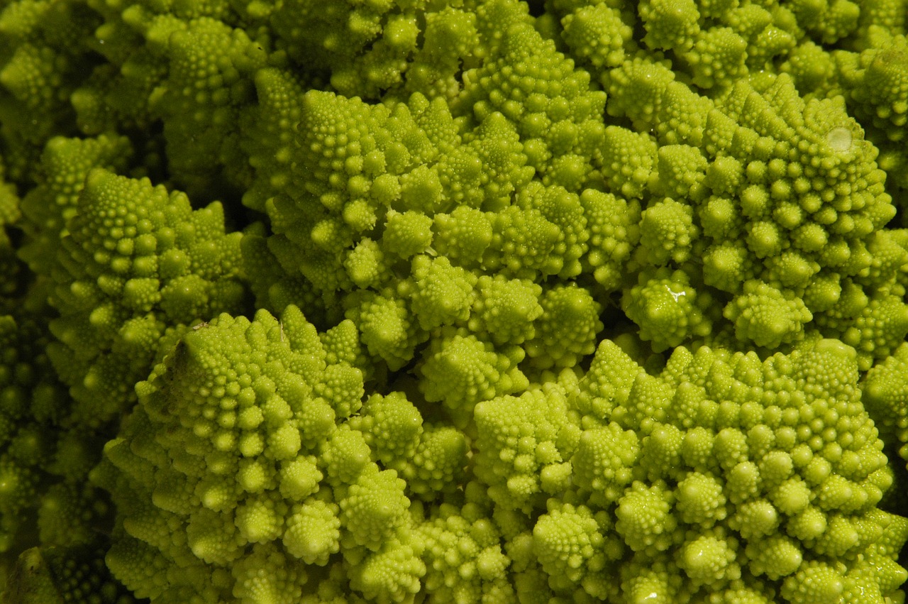 romanesco broccoli green roman cabbage free photo