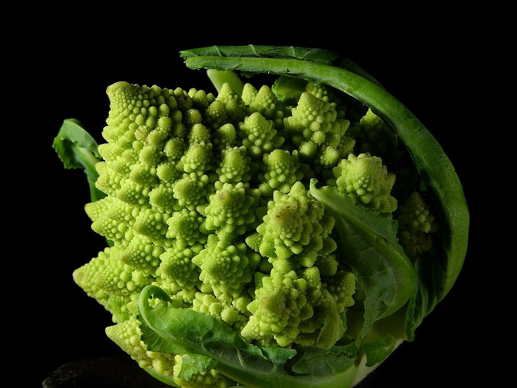 romanesko cauliflower broccoli free photo