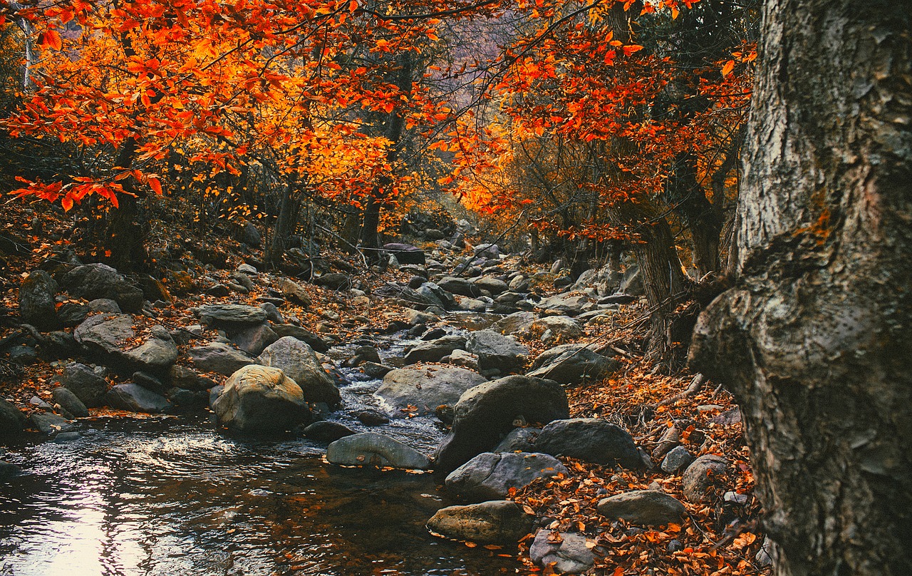 romania landscape scenic free photo