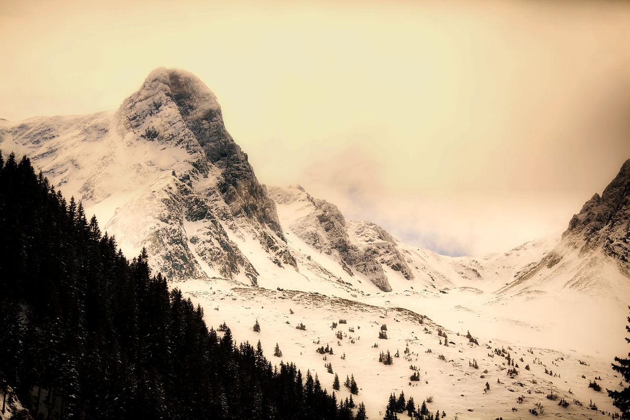 romania winter snow free photo