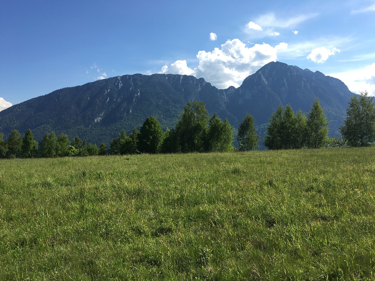 romanian mountains green summer free photo