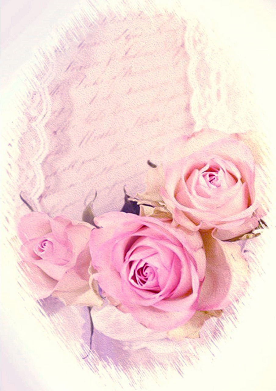 romantic roses vintage free photo