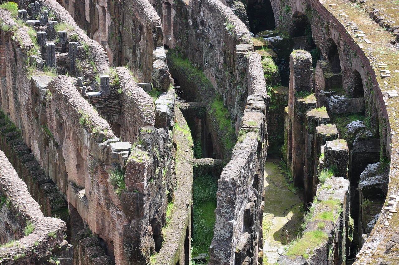 rome colosseum tourist free photo