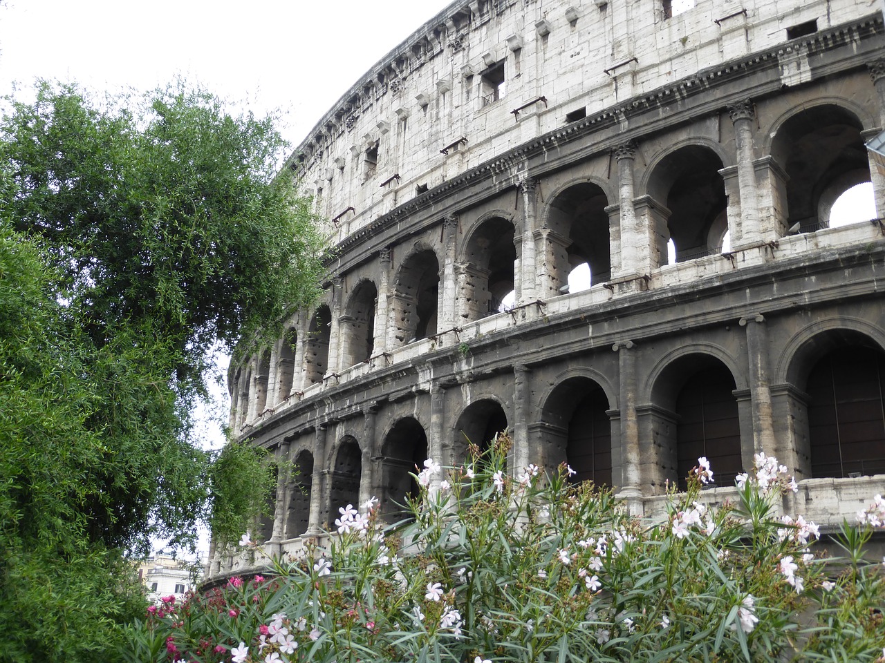 rome ruins colosseum free photo