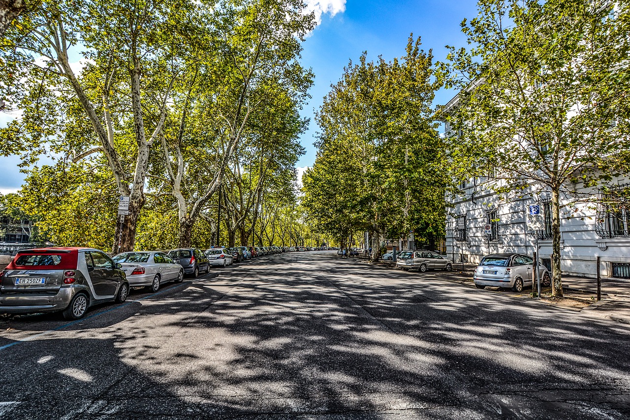 rome italy trees free photo