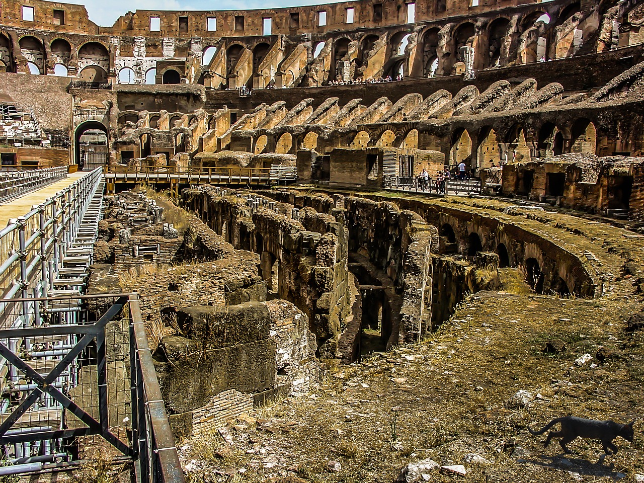 rome colosseum ancient free photo