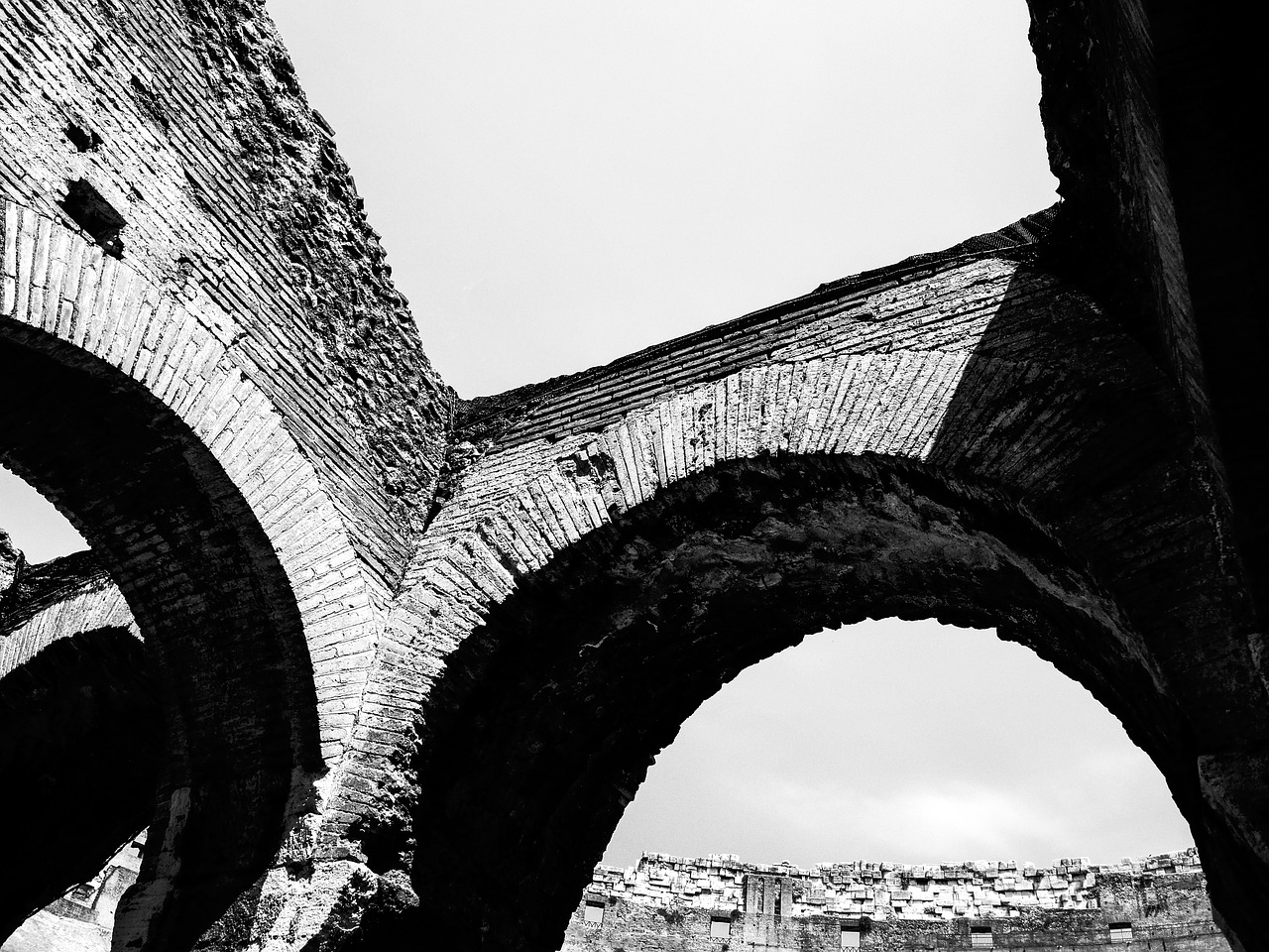 rome  colosseum  italy free photo