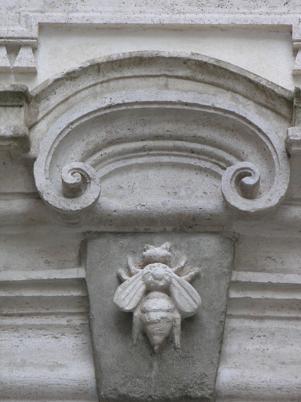 rome  bee  architecture free photo