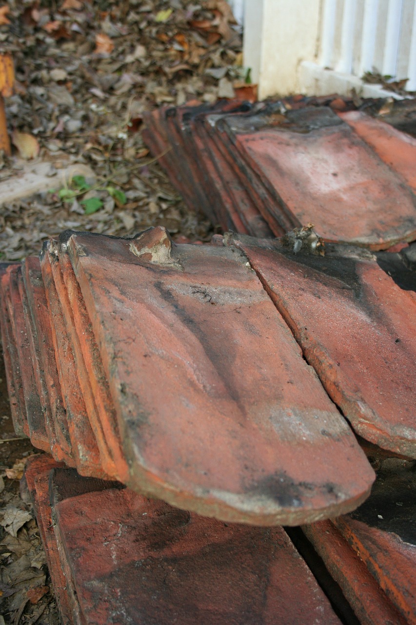 roof tiles clay free photo