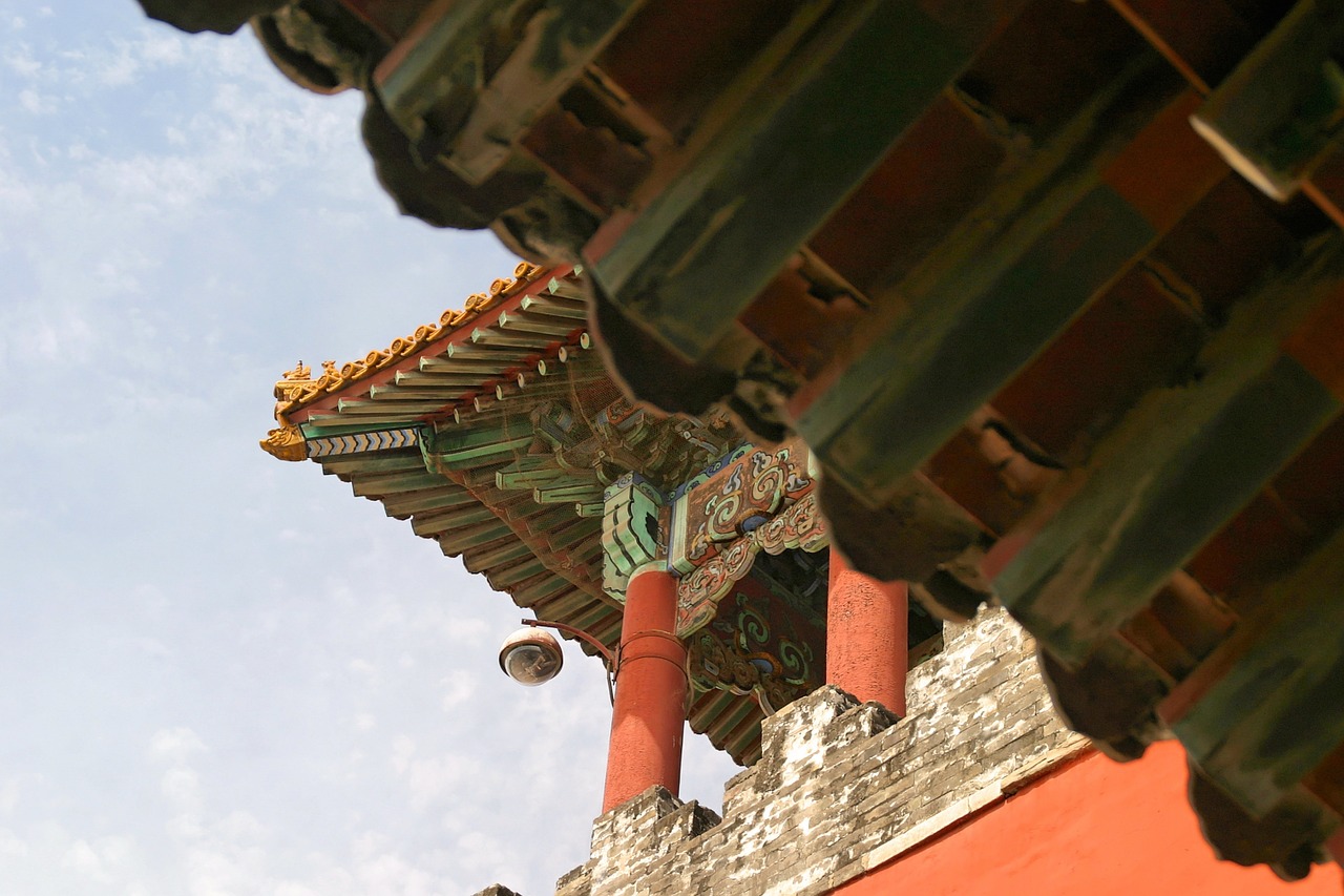 roof china dragon free photo