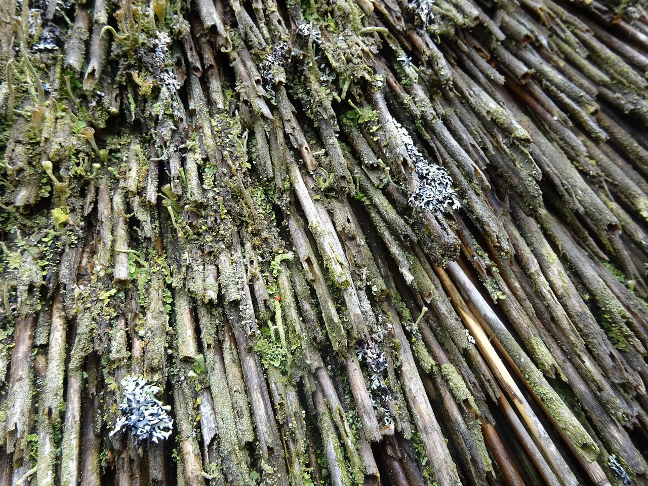 roof thatched roofs weave free photo