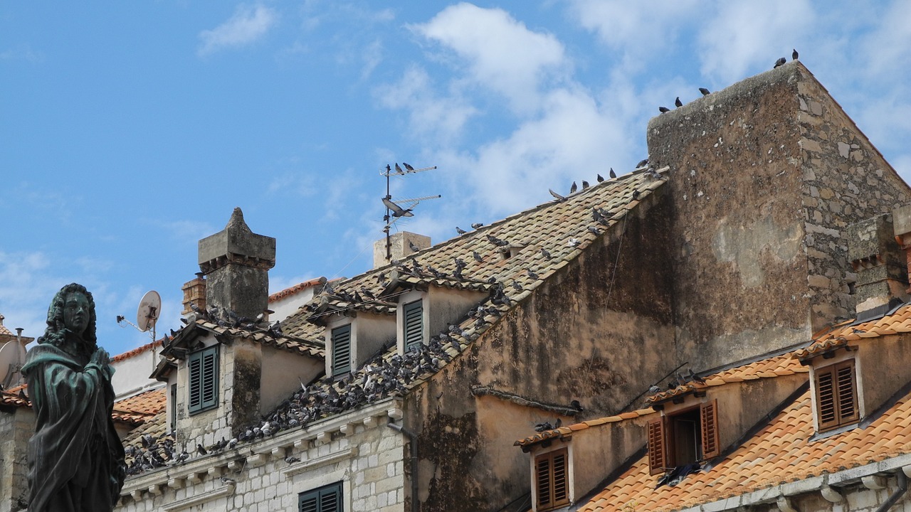 roof dove gable free photo