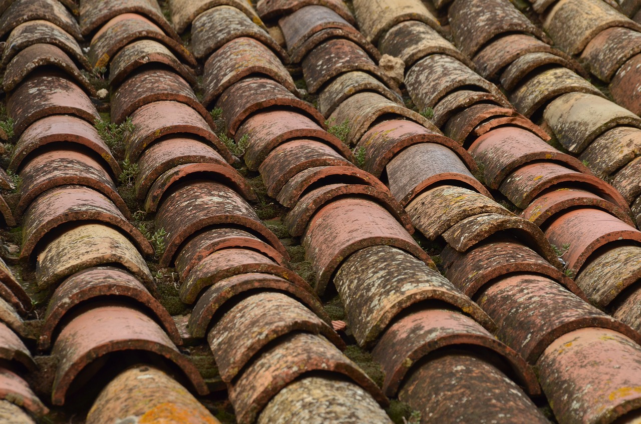 roof roof tile structure free photo