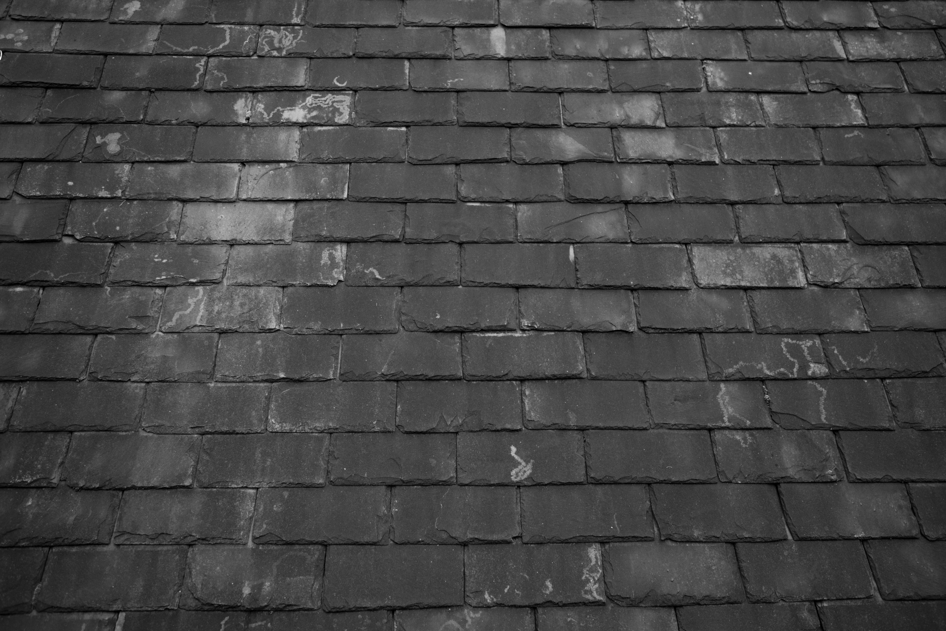roof roofing repair free photo