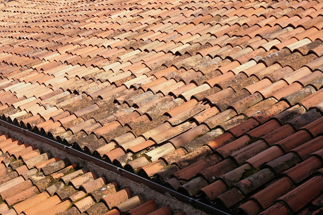 roof roof tiles building free photo