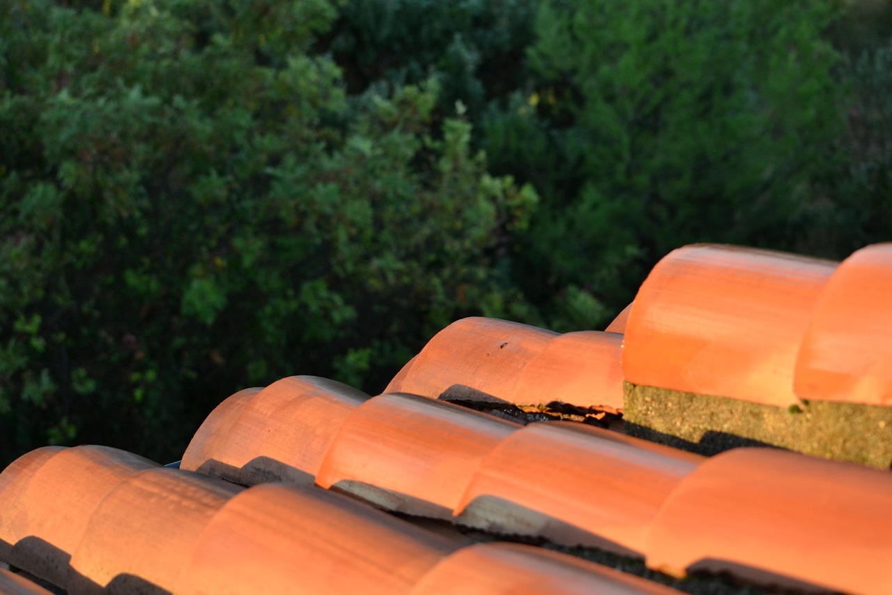 roof tiles south tile free photo