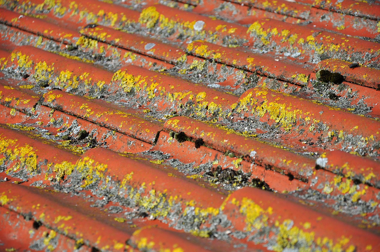 roof tile clay tiles free photo